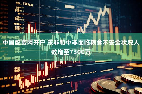 中国配资网开户 东非和中非面临粮食不安全状况人数增至7300万