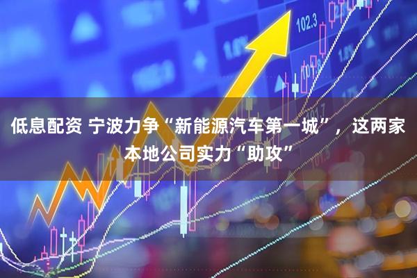 低息配资 宁波力争“新能源汽车第一城”，这两家本地公司实力“助攻”